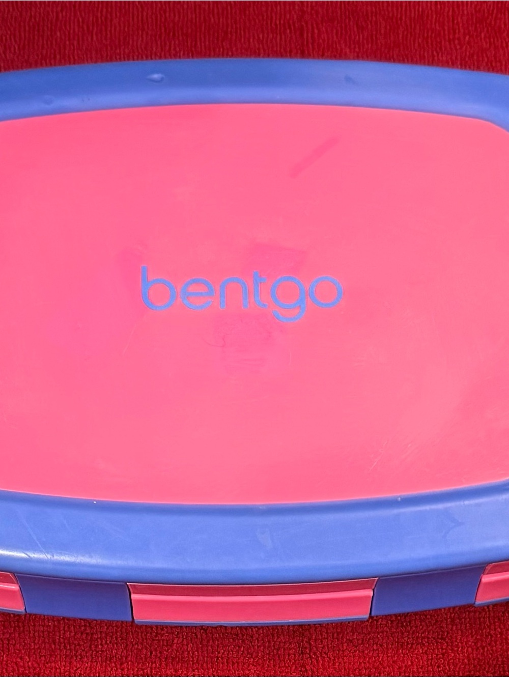 Kids One-Piece Lunchbox in Pink and Blue